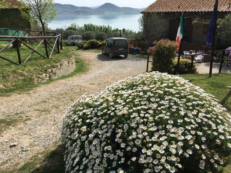 Fattoria Il Poggio Villa San Feliciano Eksteriør billede